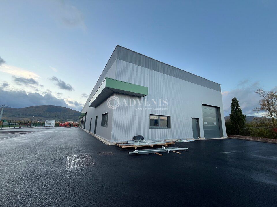 Dernière cellule d'activités à vendre - Scherwiller