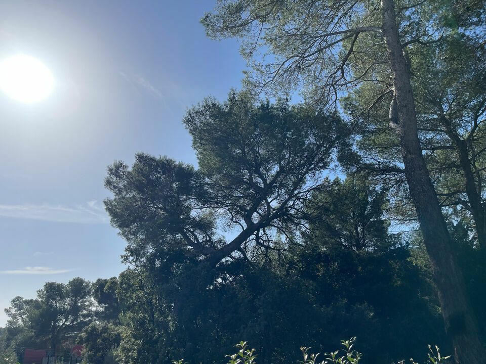 265 m² pour ce local d'activites en location à Signes