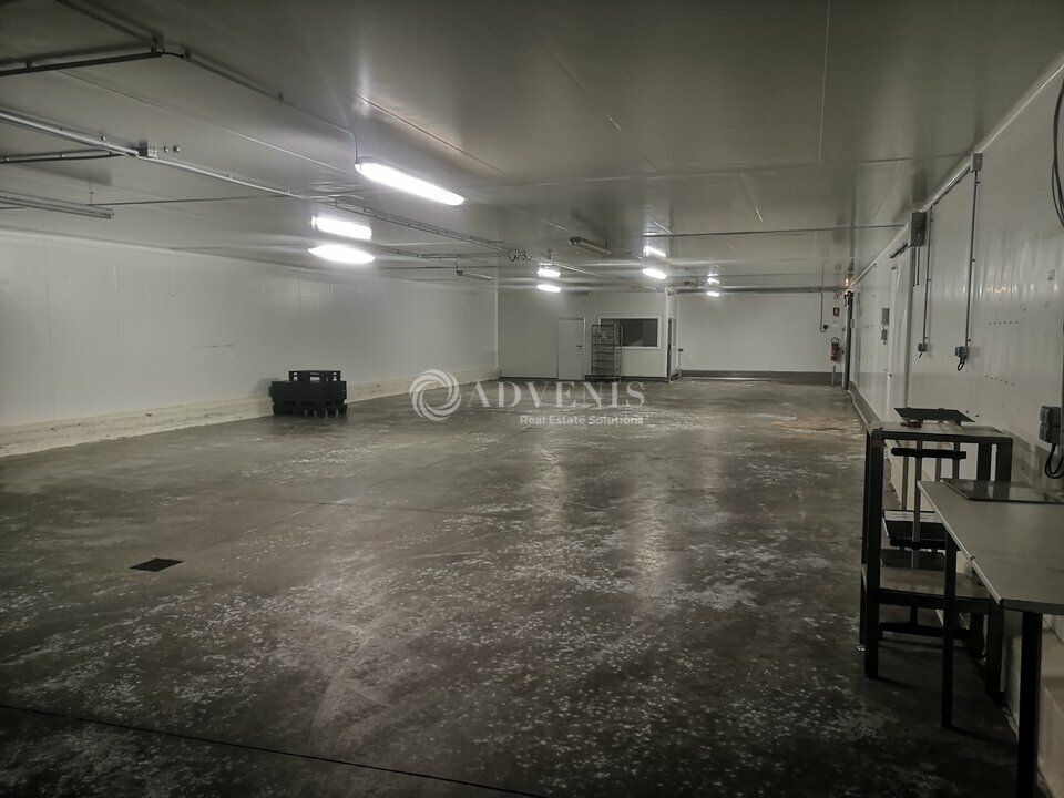 Entrepôt d'environ 4000 m² à vendre au Sud de Tours