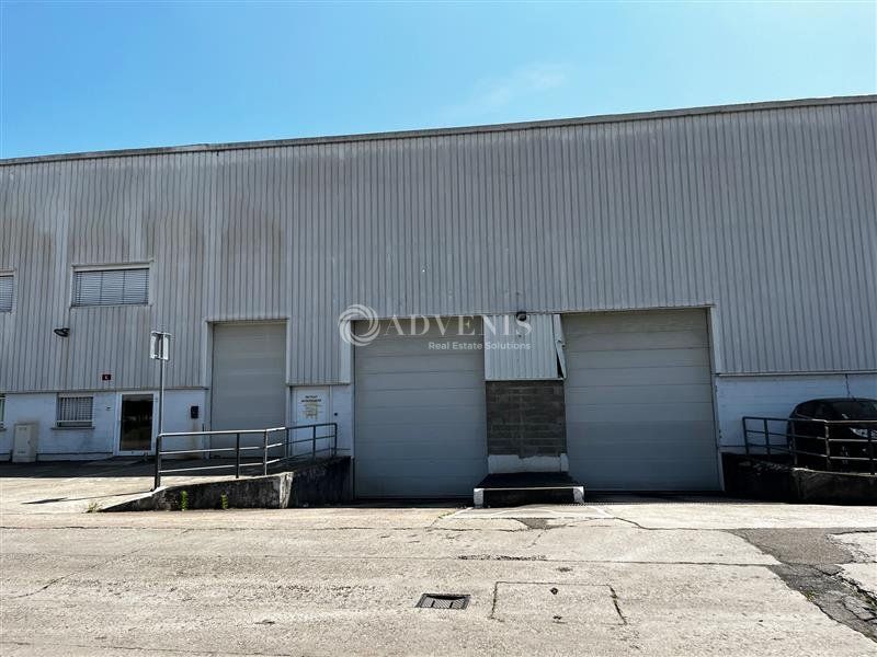 Entrepôt avec 8 m de hauteur sous plafond à vendre - Meinau - Strasbourg