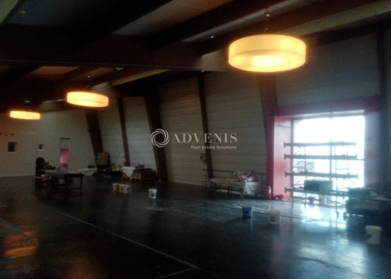 A louer entrepôt de 800 m² environ + appartement de 120 m²