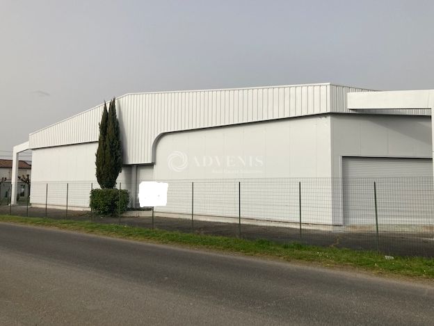 A LOUER LOCAL D'ACTIVITES DE 1250 M²