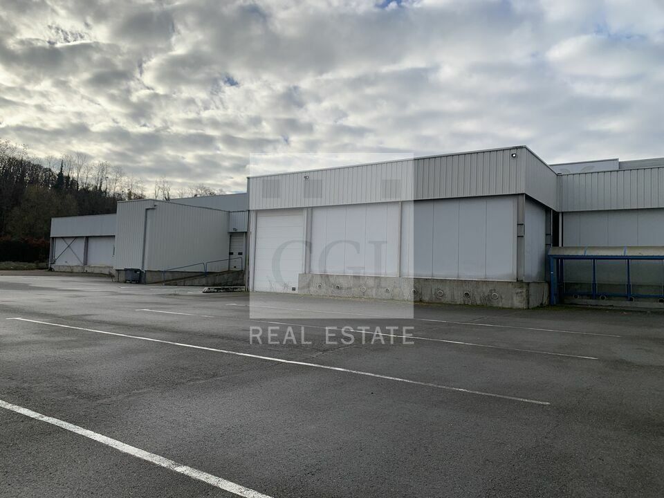 Vente local d''activites 8538 m² non divisibles