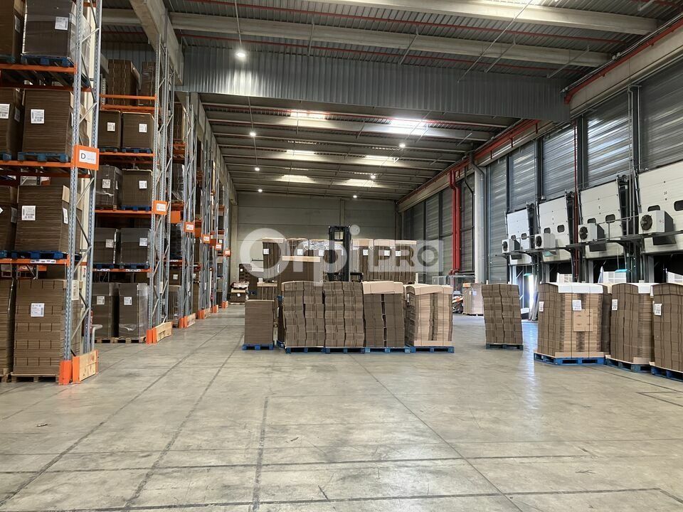 Location entrepot 5391 m² non divisibles