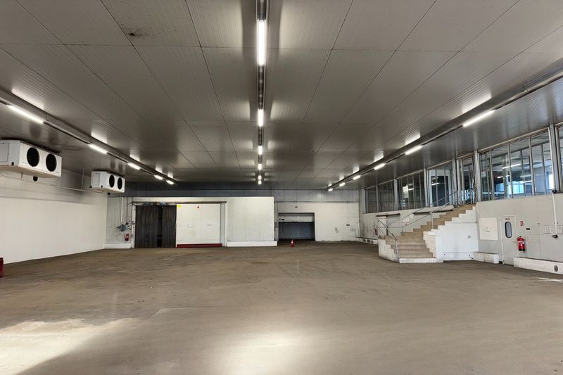 Nouveauté, local d'activité de 1503m2 sur Nîmes OUEST