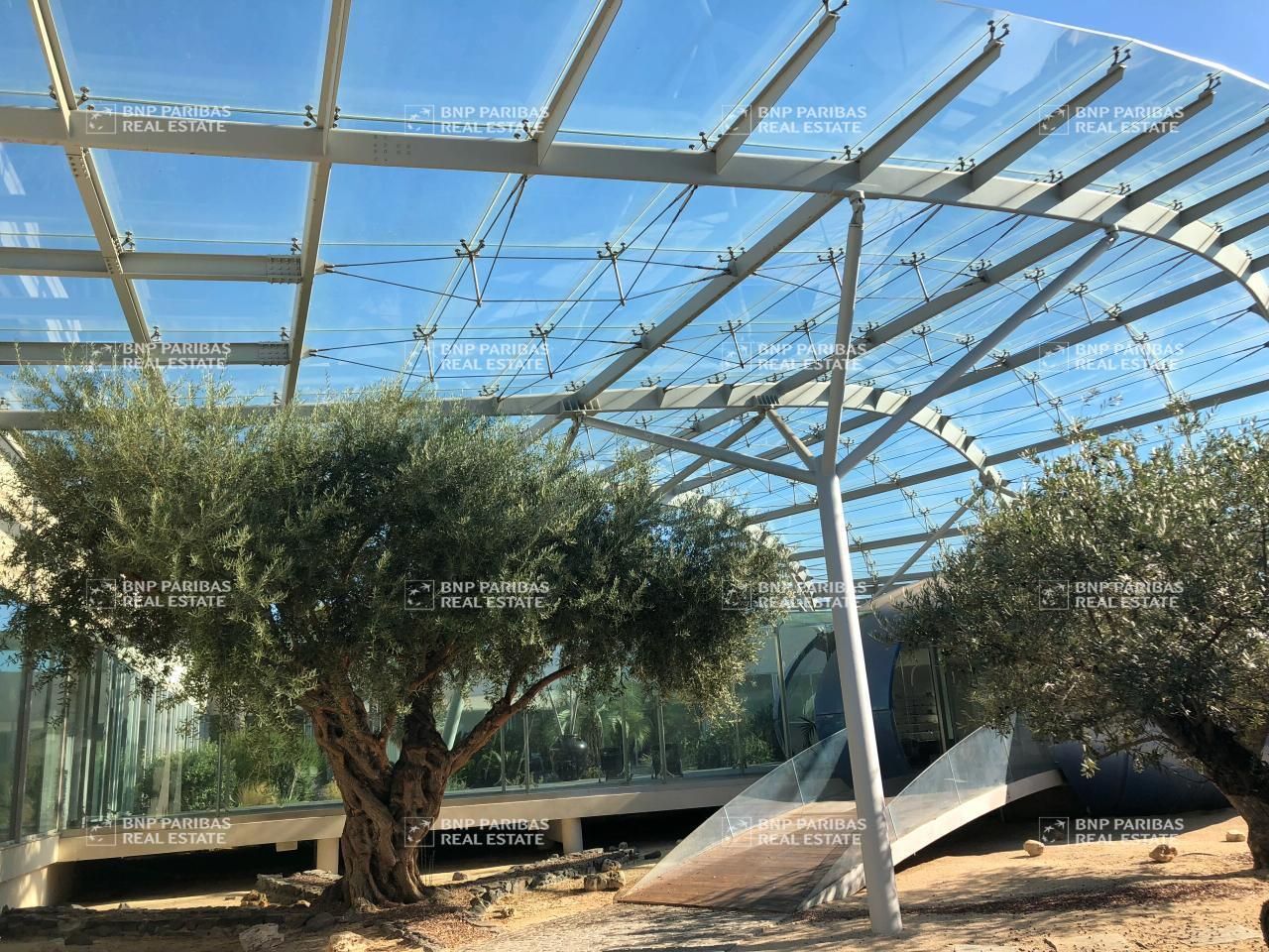 724.51 m² pour ce bureaux en location à Mauguio