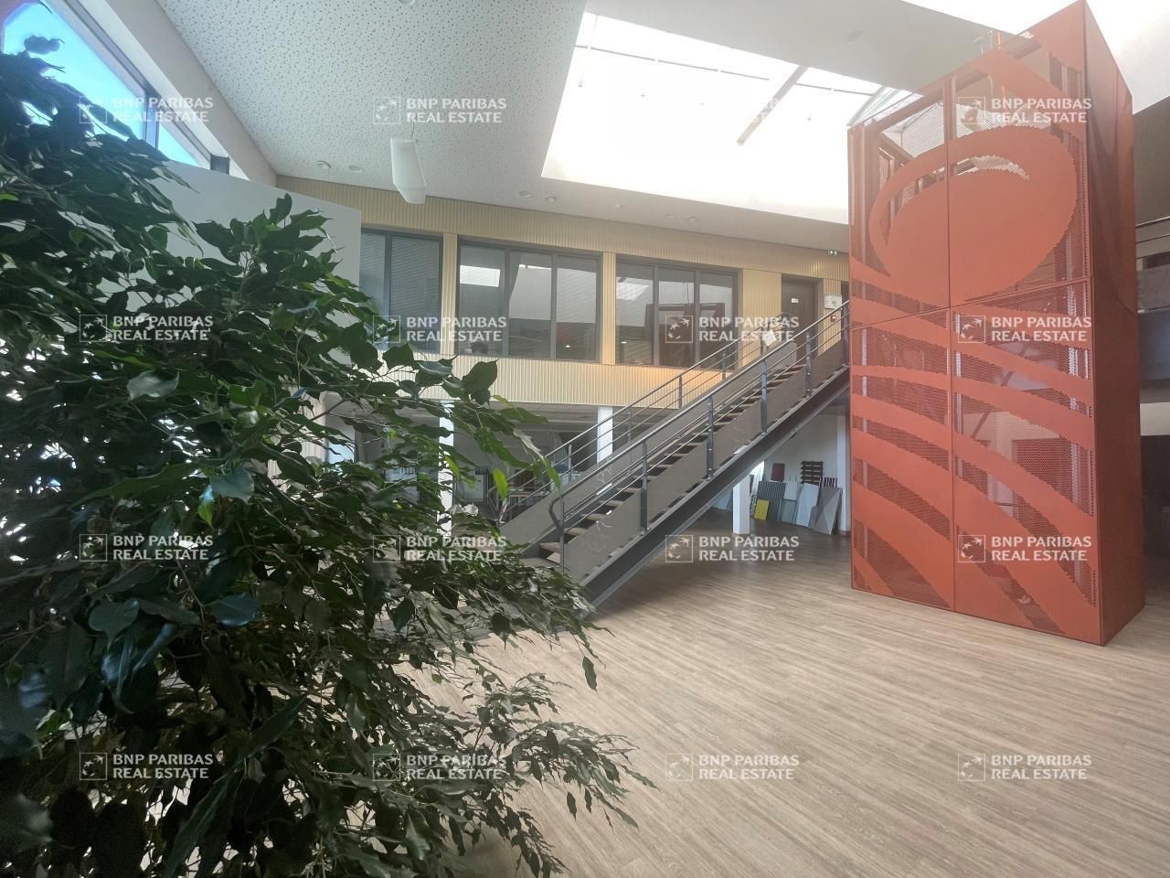 11194 m² pour ce activité en location à Annezin