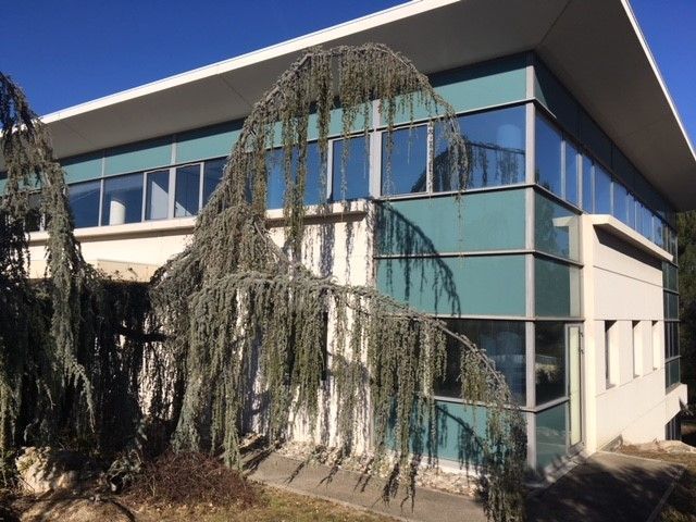 Sur le pôle d'Activités d'Aix en Provence, CBRE v