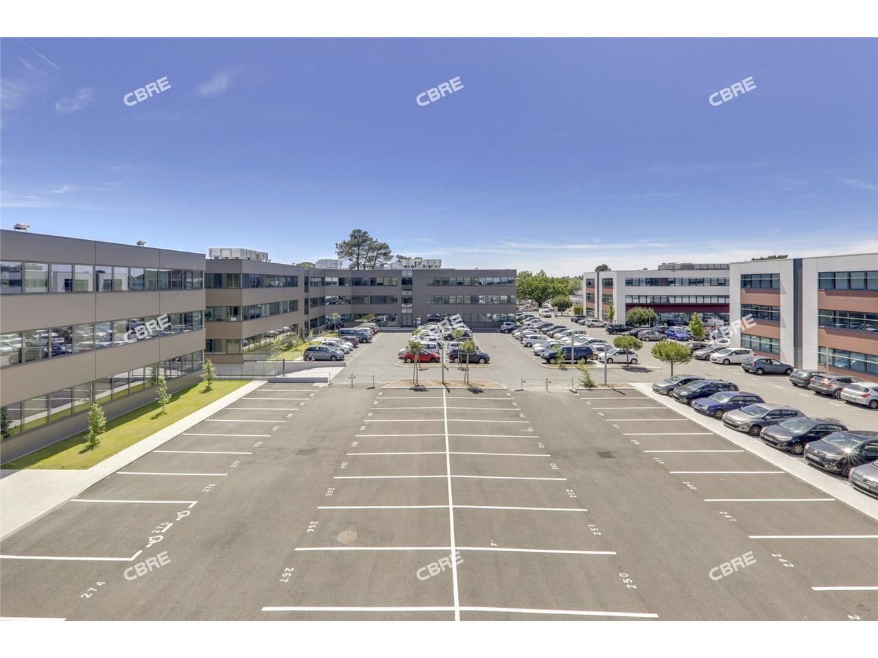 Au sein d'Enora Park à PESSAC - CBRE vous propose