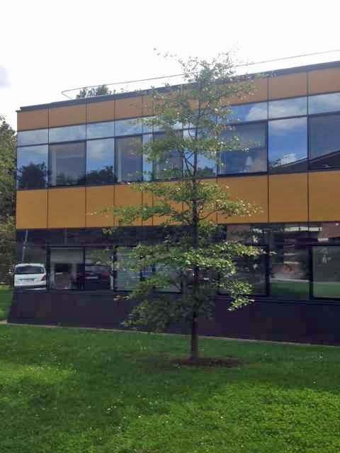 CBRE spécialiste de l'immobilier d'entreprise vou