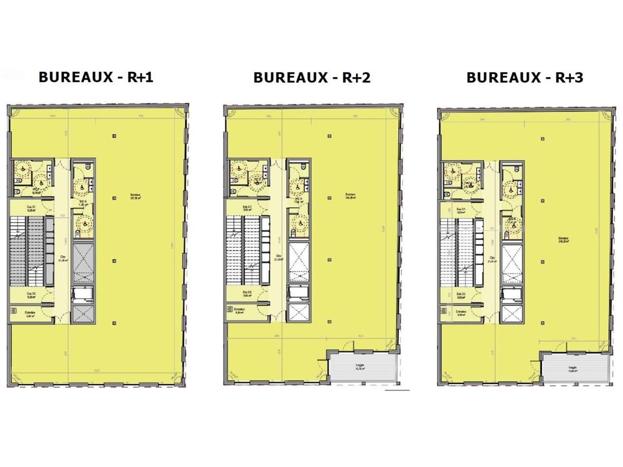 Vente bureaux 1006 m² divisibles à partir de 335 m²
