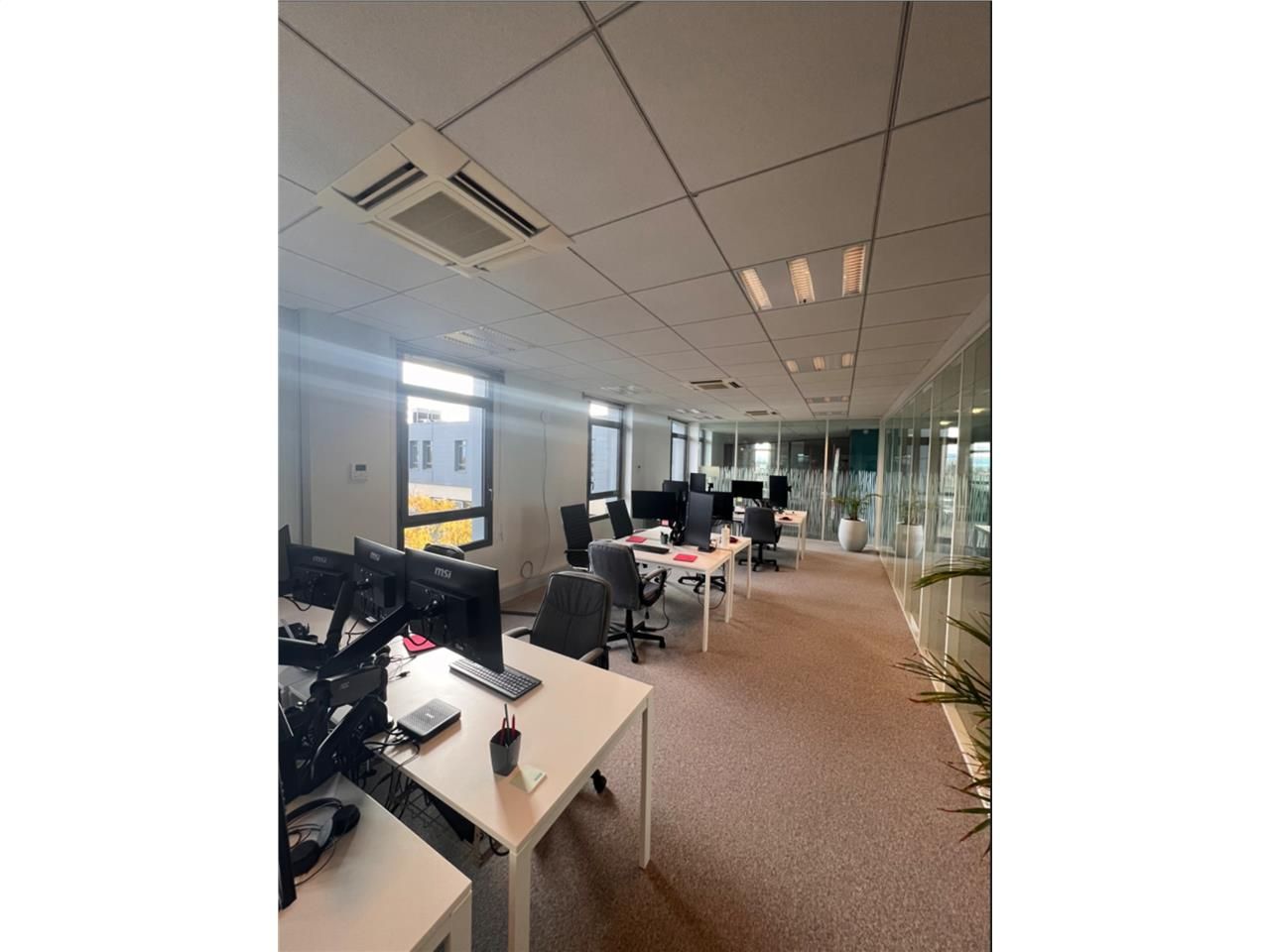 A Ecully, à proximité immédiate de l'axe routier 