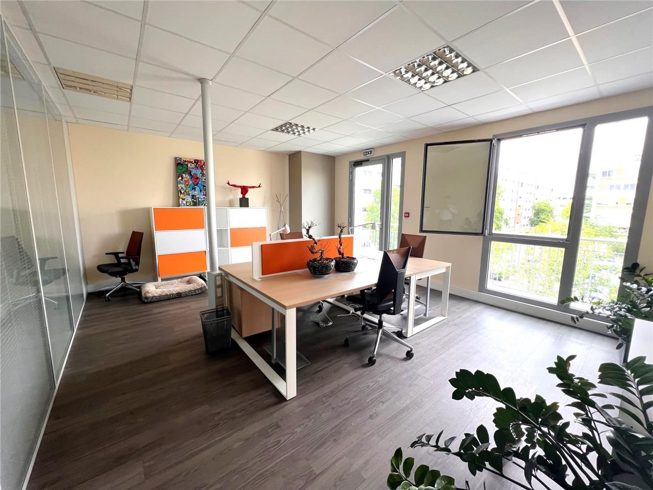 Au sein de la Zone Franche Urbaine de Rillieux, p