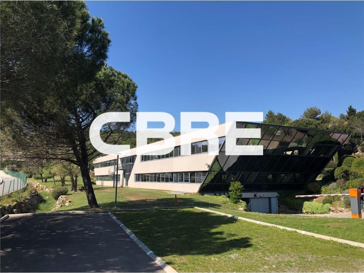 Situés au coeur du parc de Sophia-Antipolis (0656