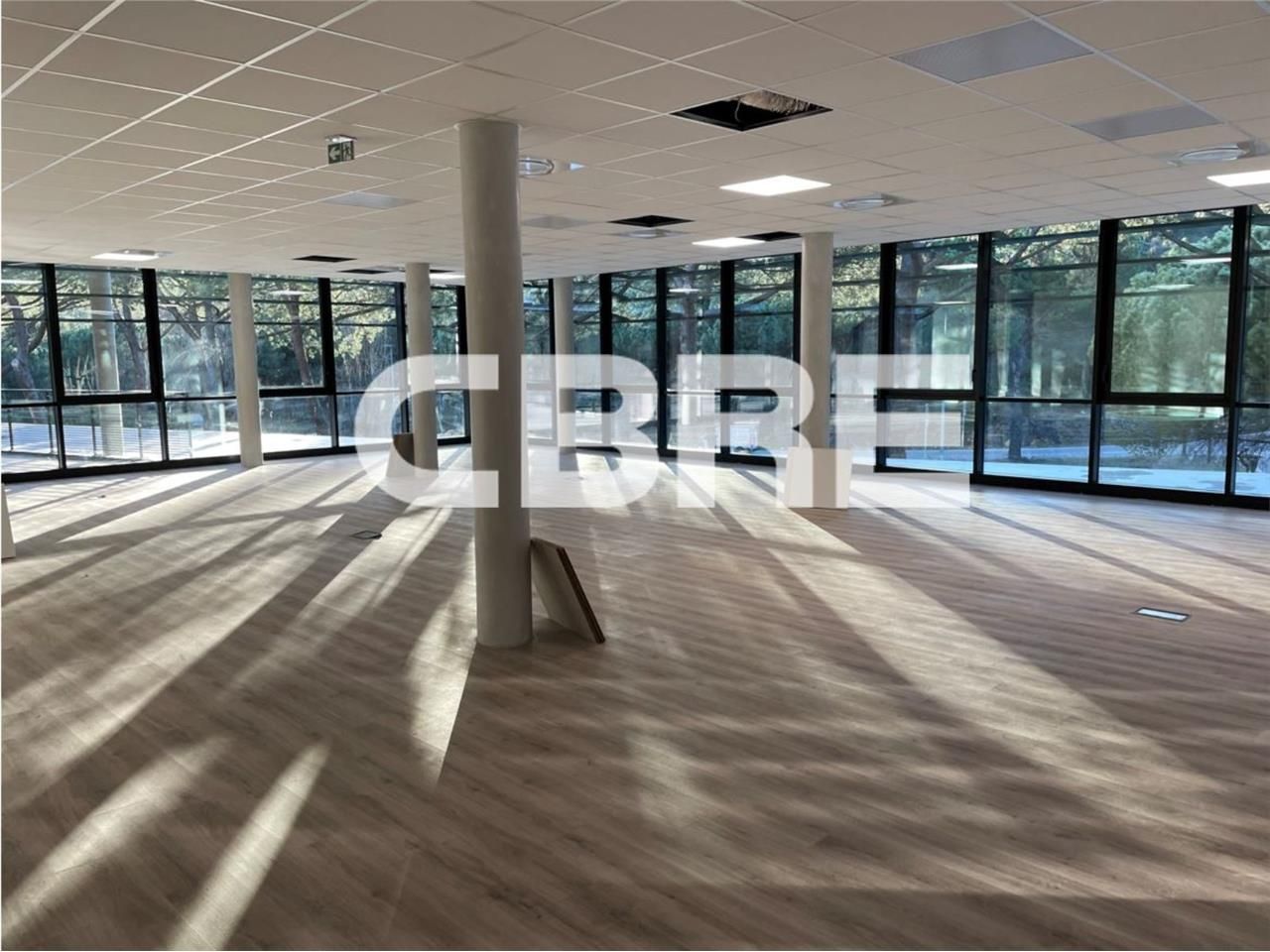 Implantez vos équipes au sein de cet ensemble imm