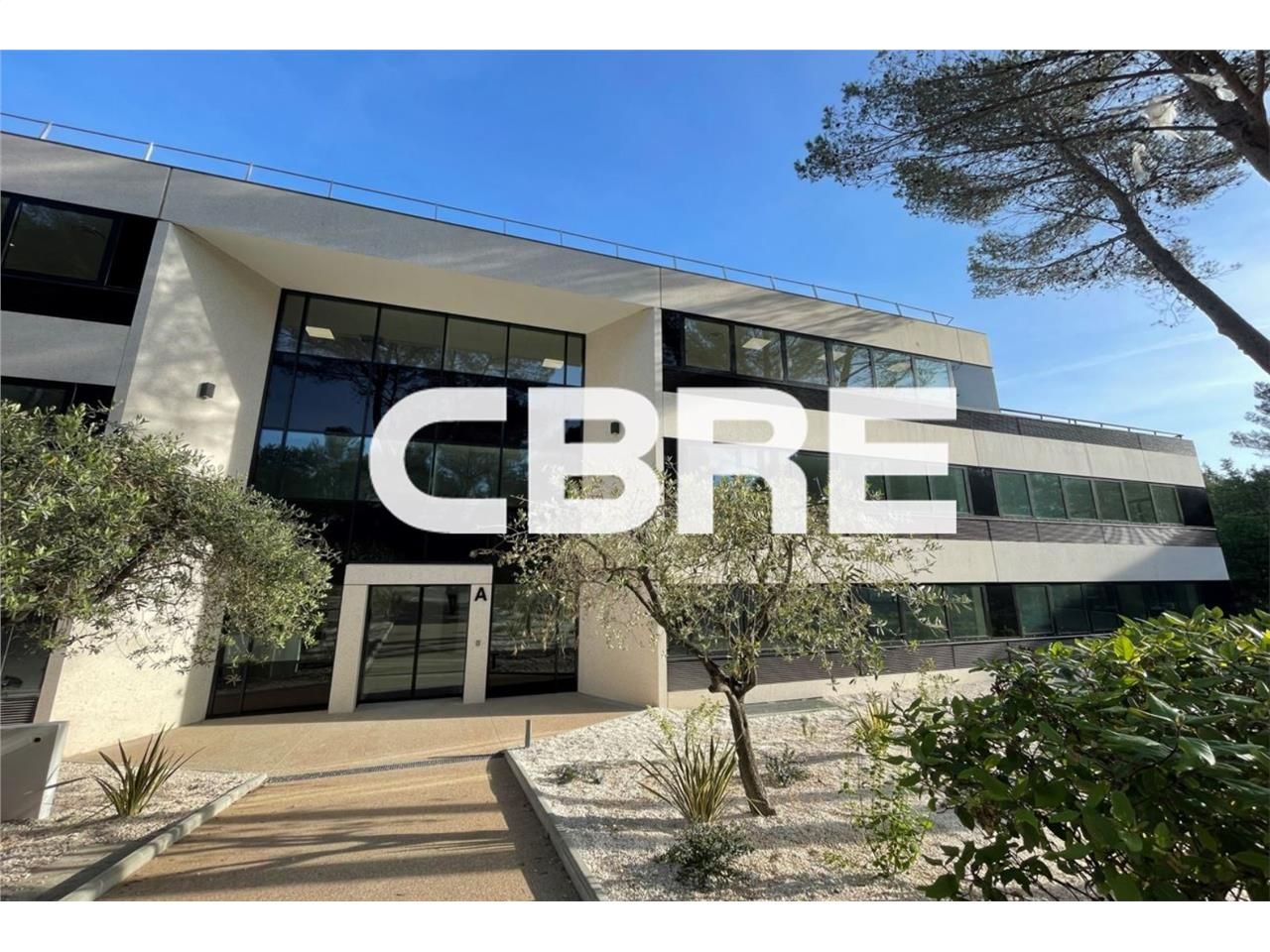 Sophia Antipolis (06560) Au sein d'un immeuble en