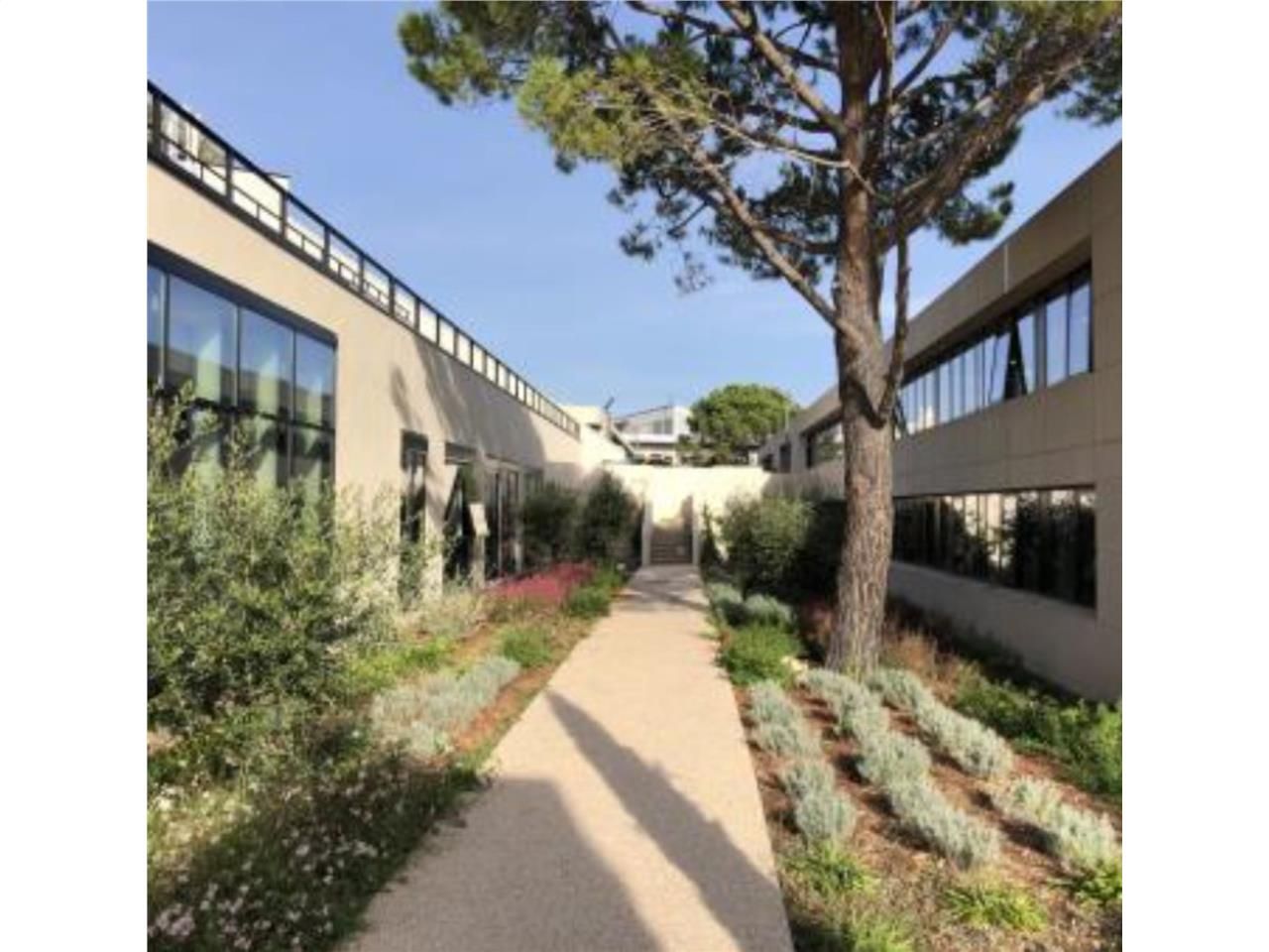 Au coeur de la technopole de Sophia Antipolis (06