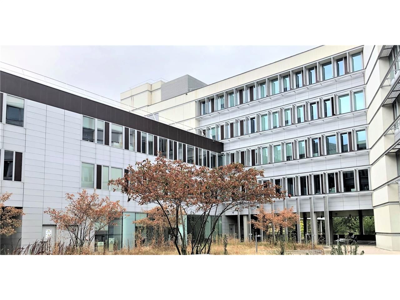 Ensemble tertiaire à louer à l'entrée de la ZAC A