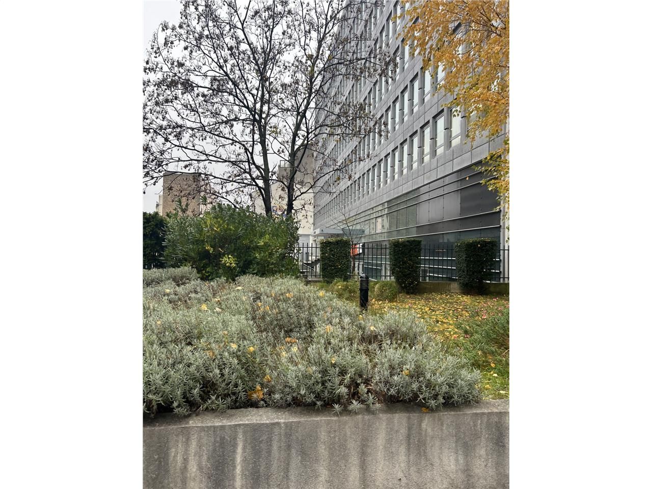 CBRE vous propose une surface de bureaux à l'acqu