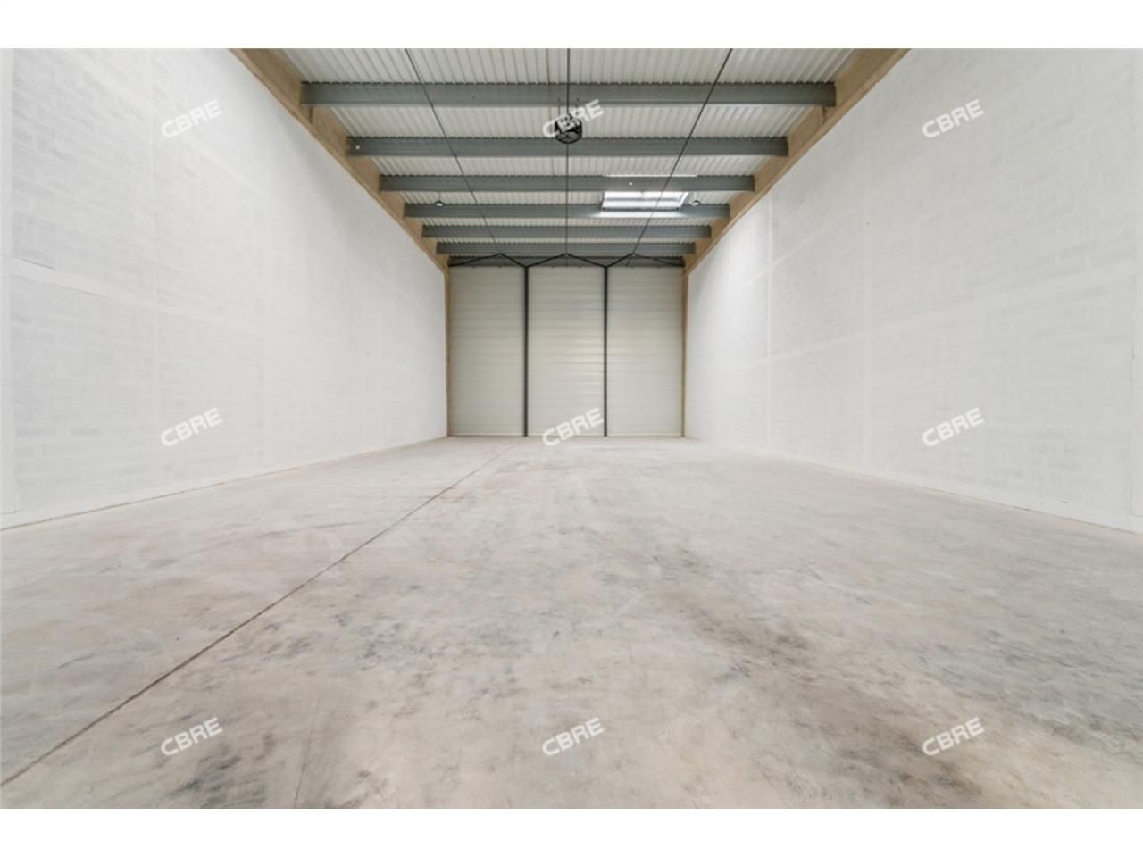 Rare sur le marché ! CBRE vous propose à louer, u