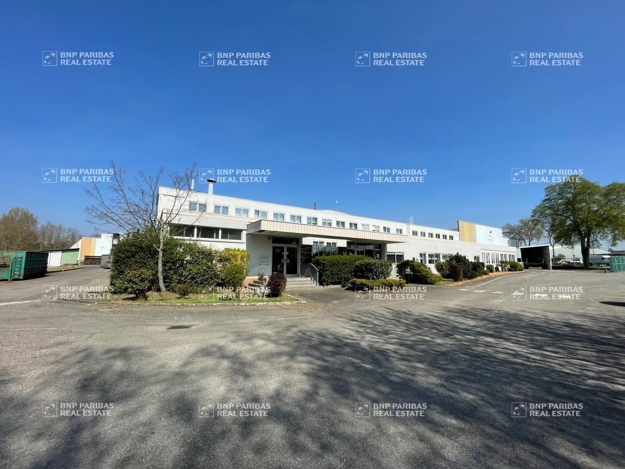 Vente Activité 11500 m² non divisibles 67590 Schweighouse-sur-moder