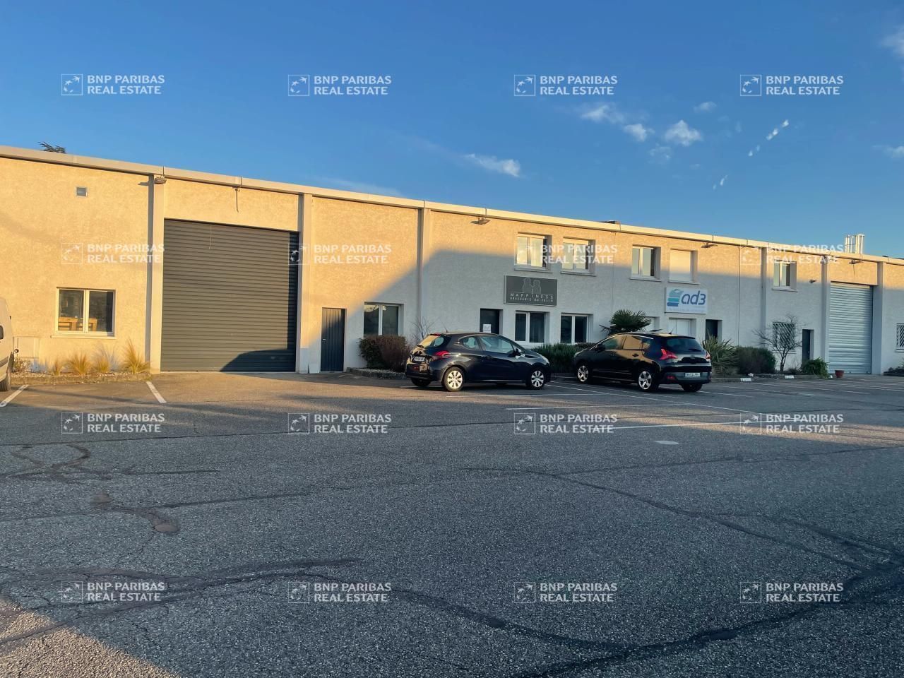 Location Activité 1397 m² divisibles 69150 Décines-charpieu