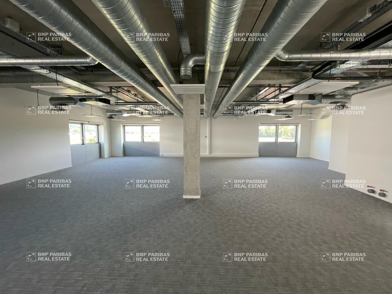 916.1 m² pour ce bureaux en location à La motte-servolex