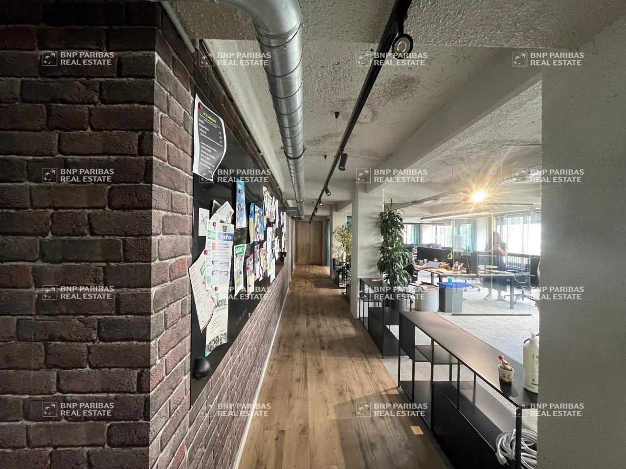 465 m² pour ce bureaux en location à Lille