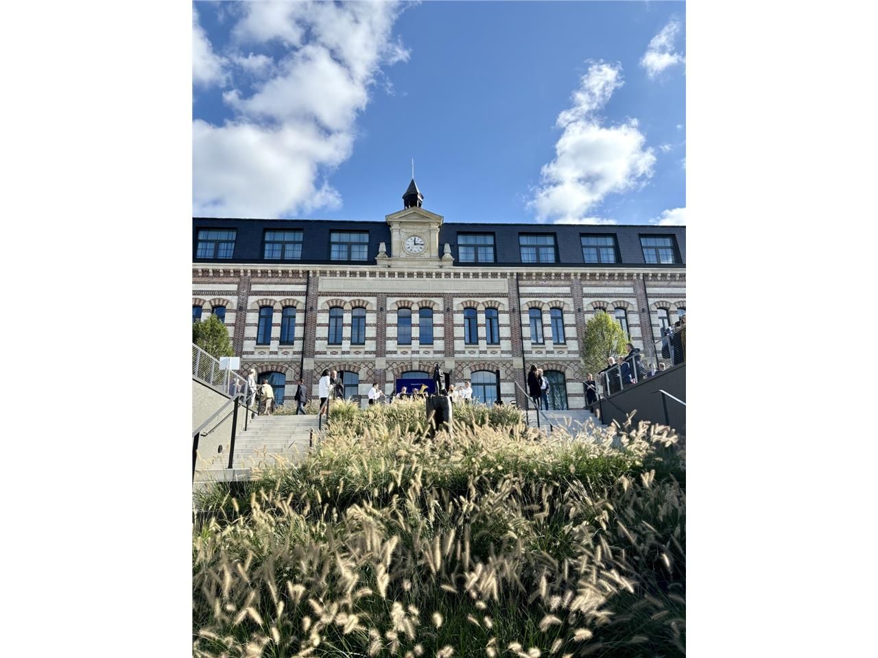 Nouveau programme tertiaire, l'Ecole Buissonnière