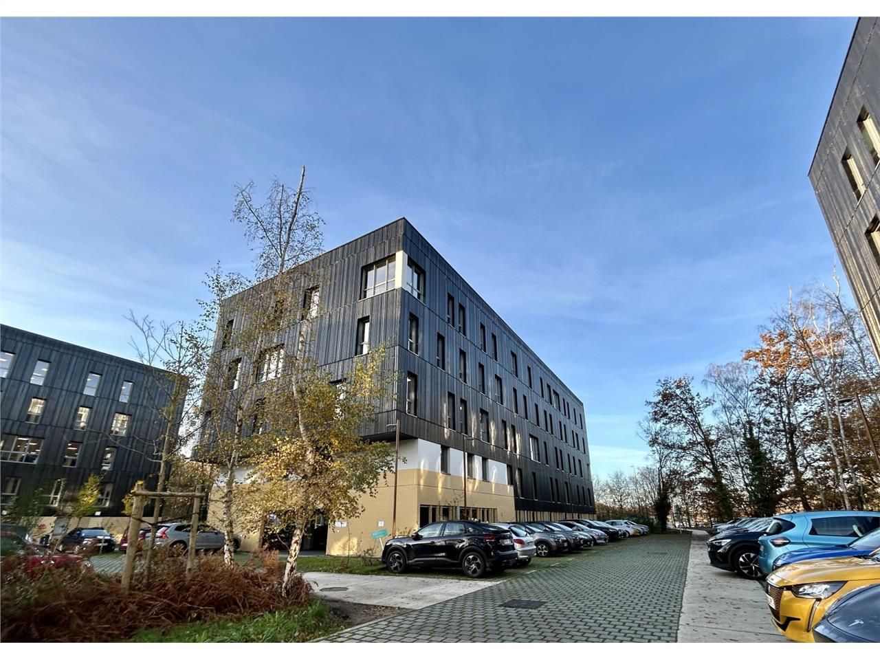 Bureaux de 739 m² divisibles à partir de 130 m² à