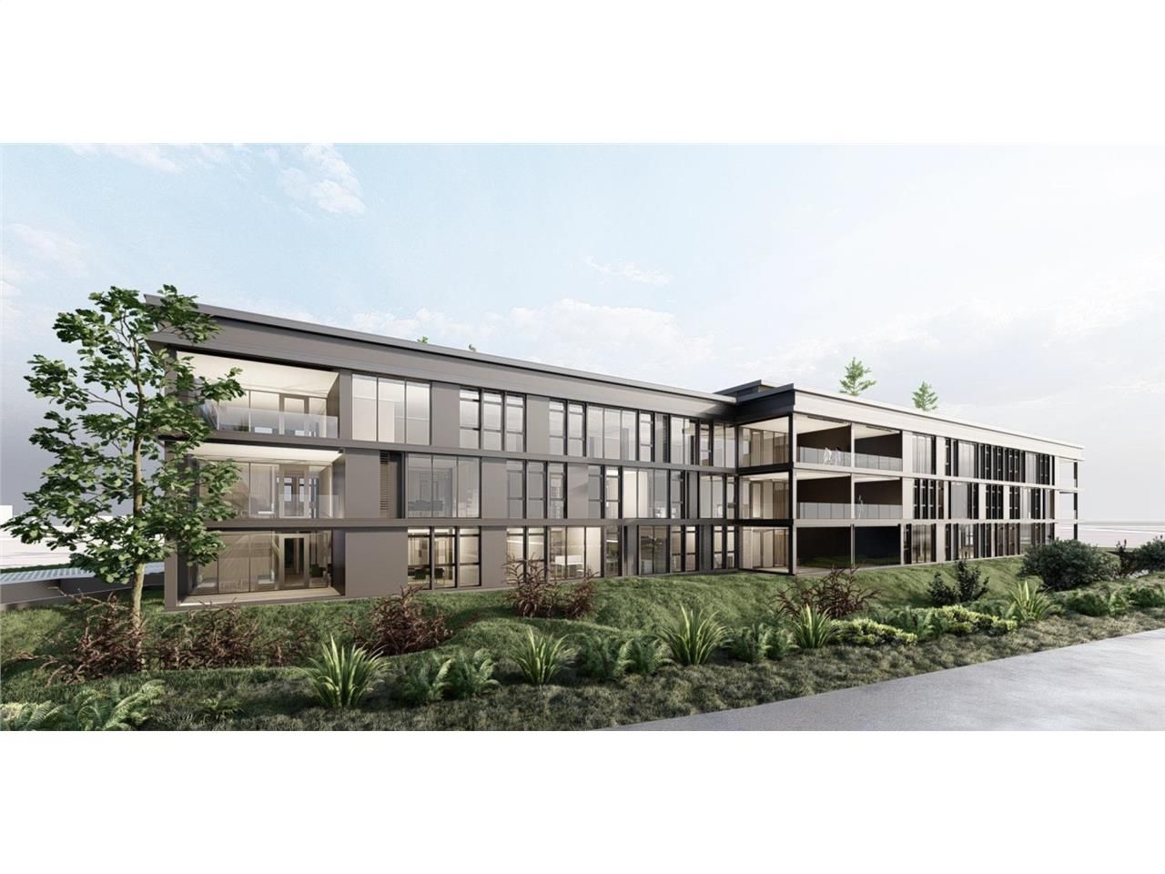 LE PARC DE LA PLAINE DE LA RONCE_ La Zone de la P