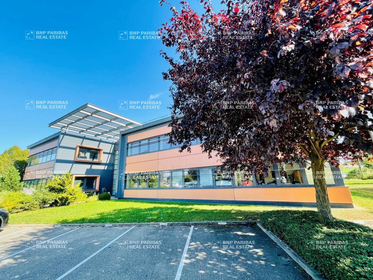 314 m² pour ce bureaux en location à Schiltigheim