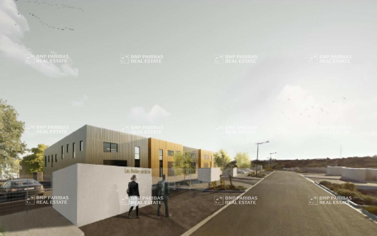 Vente Activité 1601.29 m² divisibles 34570 Vailhauquès