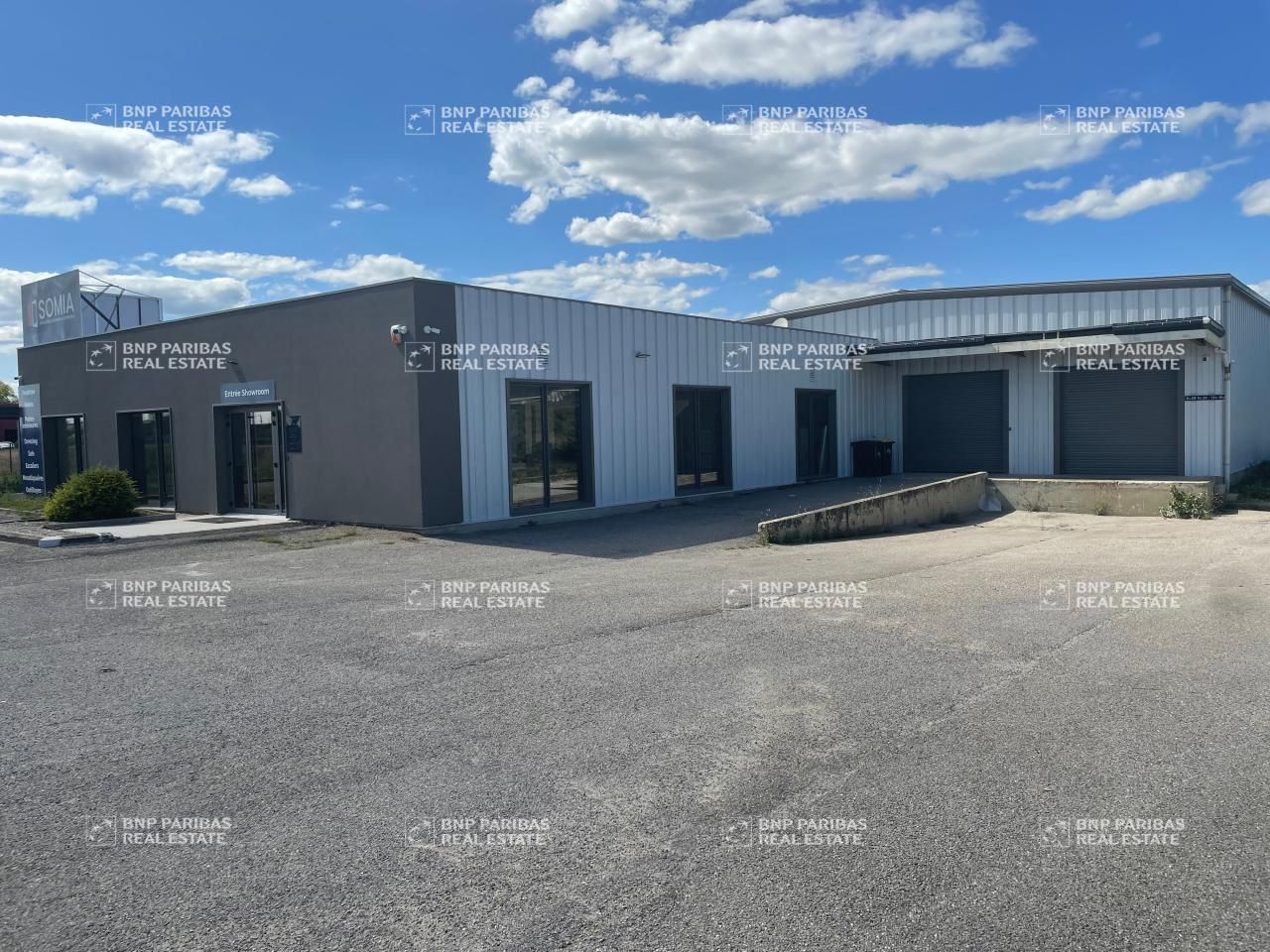 Vente Activité 1650 m² non divisibles 01700 Beynost