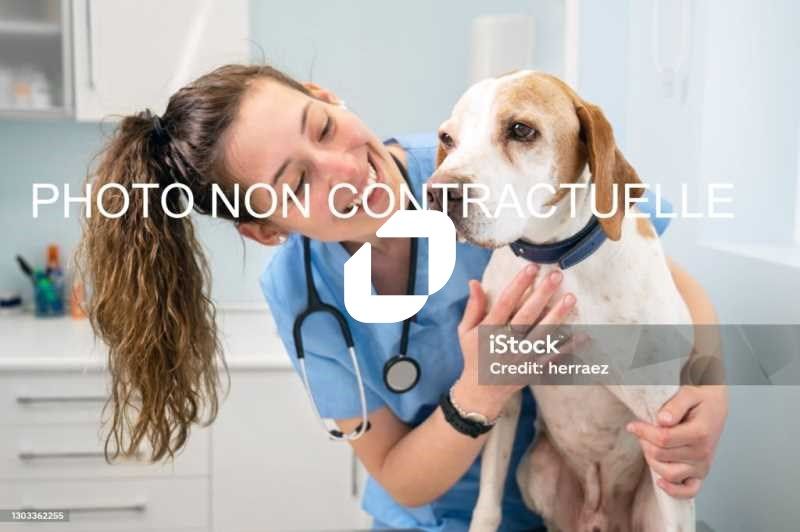 IMMPROVE vous présente en avant-première dans un