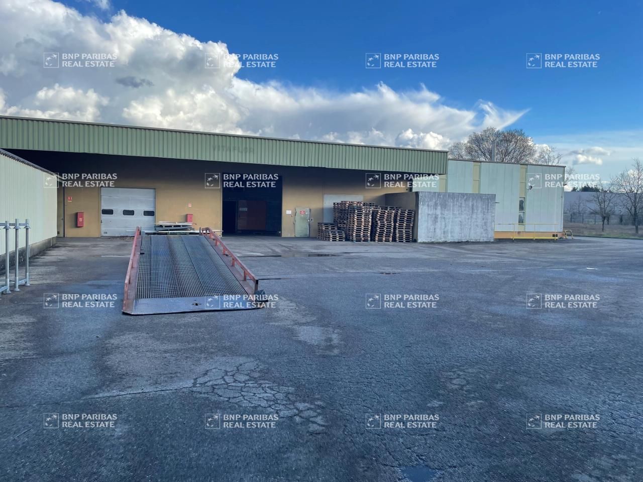 Vente Activité 8453 m² non divisibles 38070 Saint-quentin-fallavier