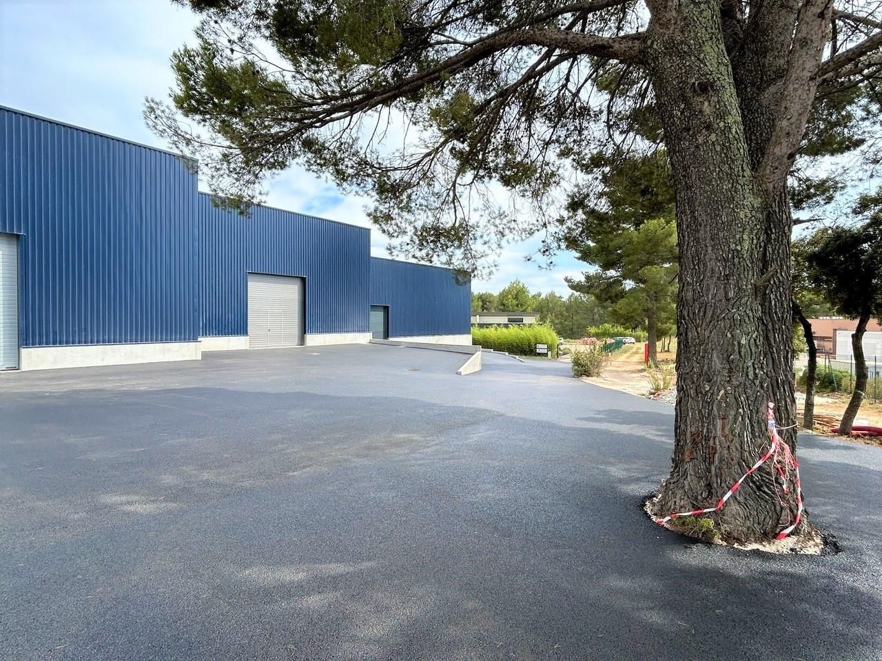 1365 m² pour ce activité en location à Signes