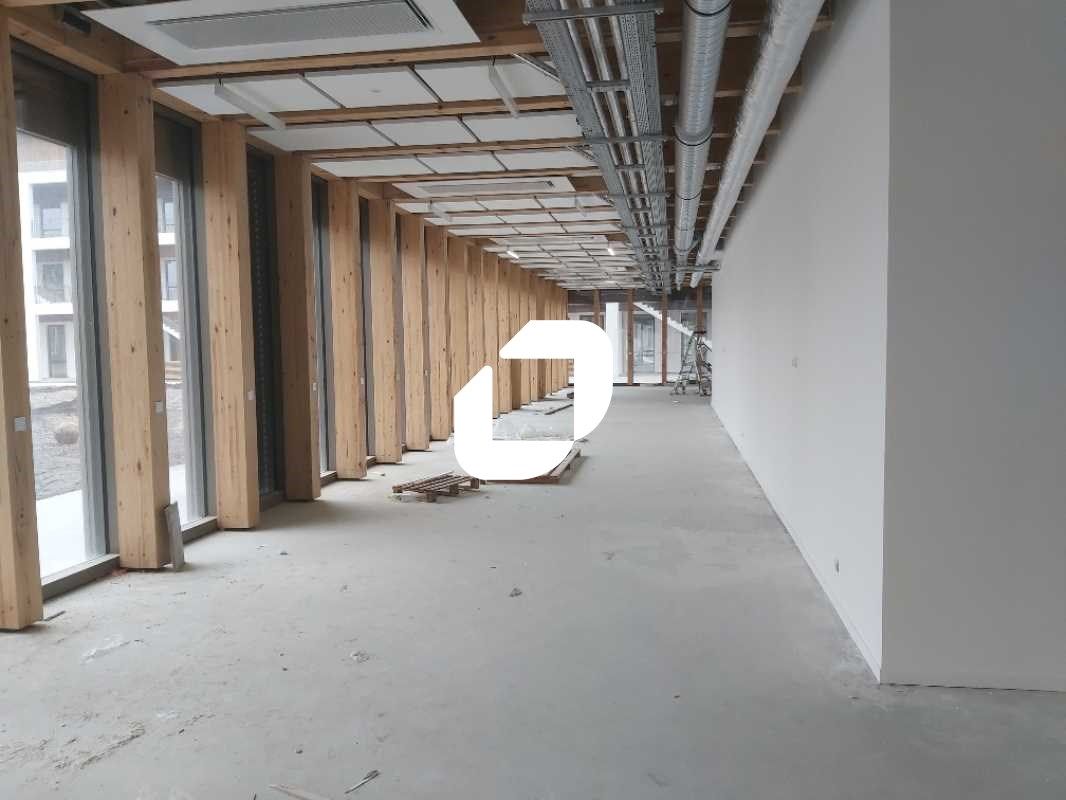 Dans un environnement très aéré et arboré, Immpro