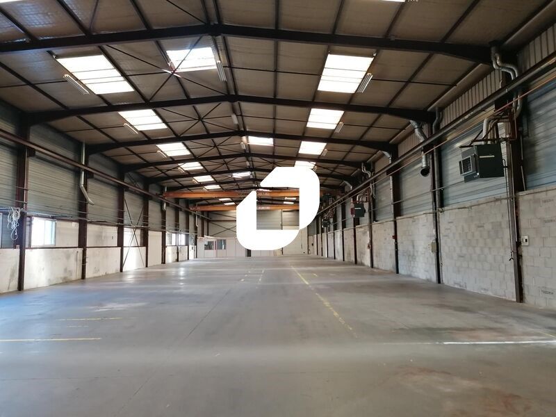 A la limite de la ZI de Belleville en Beaujolais,