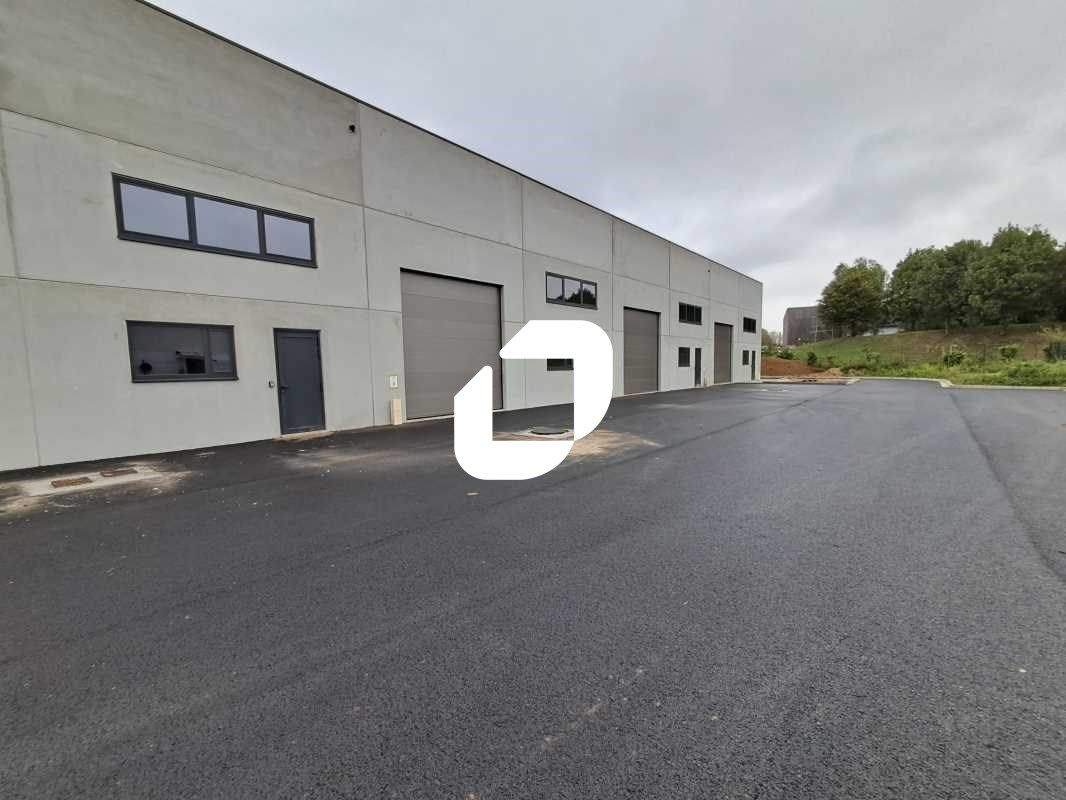 Immprove vous propose des cellules neuves à la lo