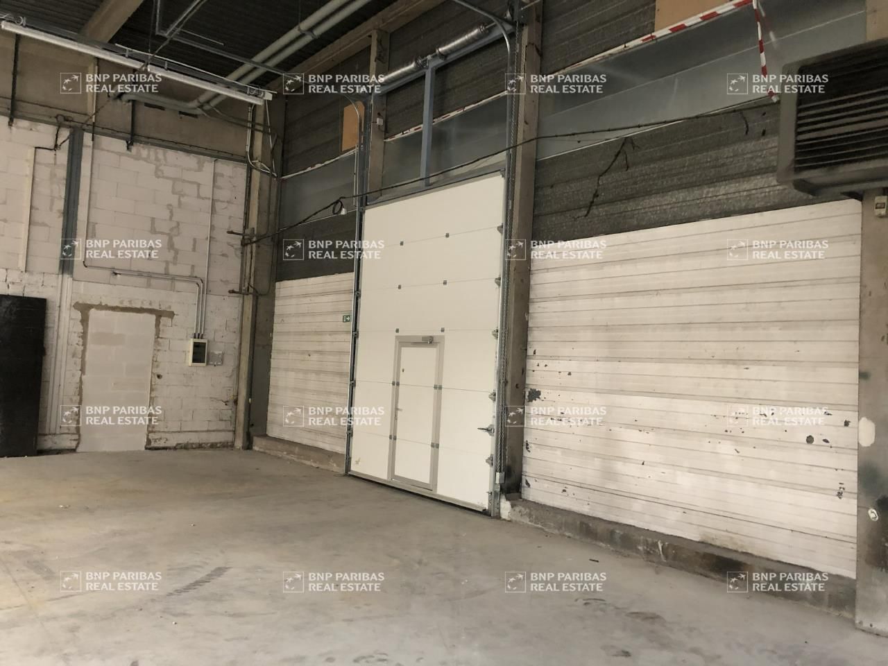 Location activité à Bischheim 67800