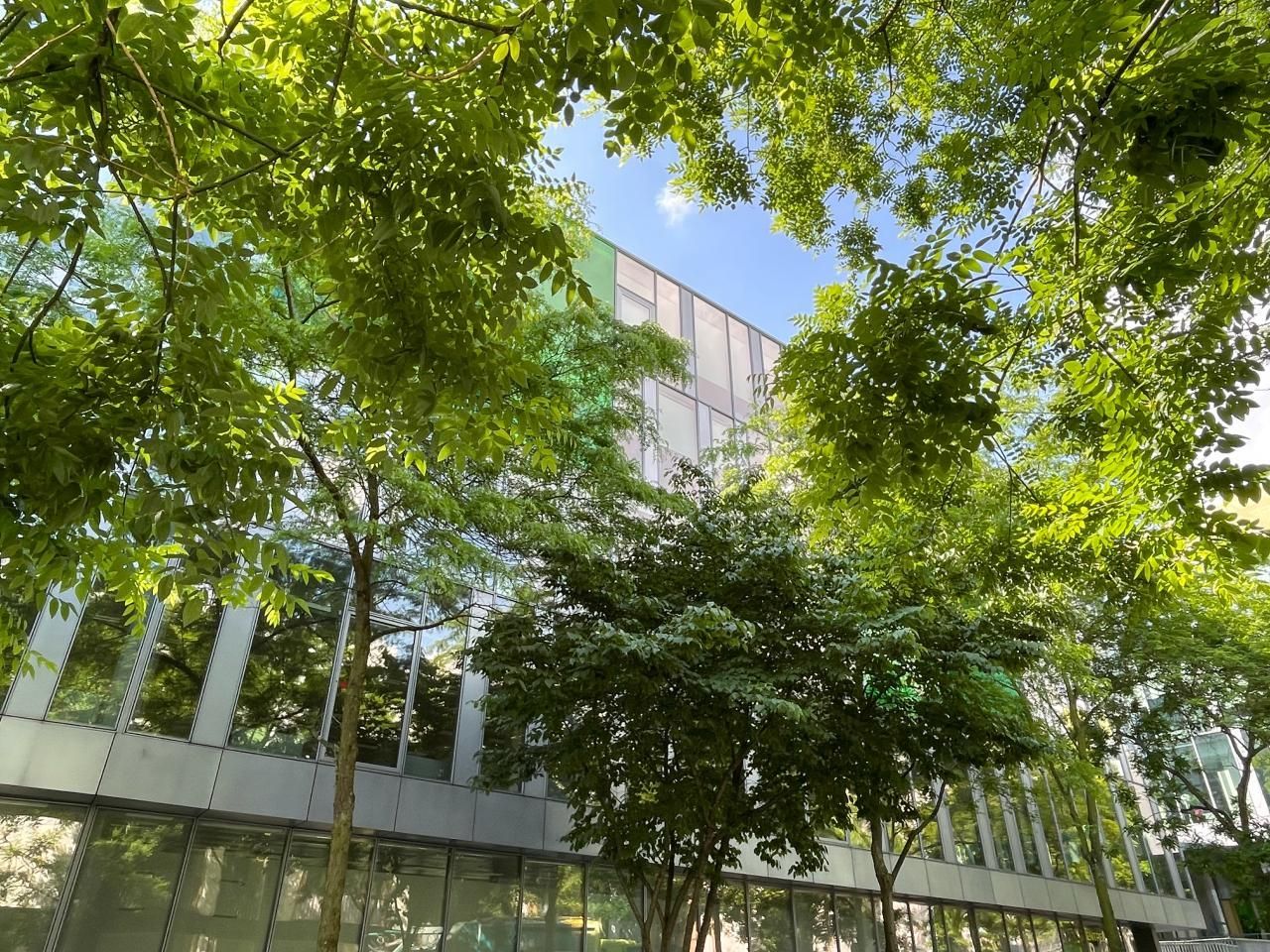 4536 m² pour ce bureaux en location à Lille