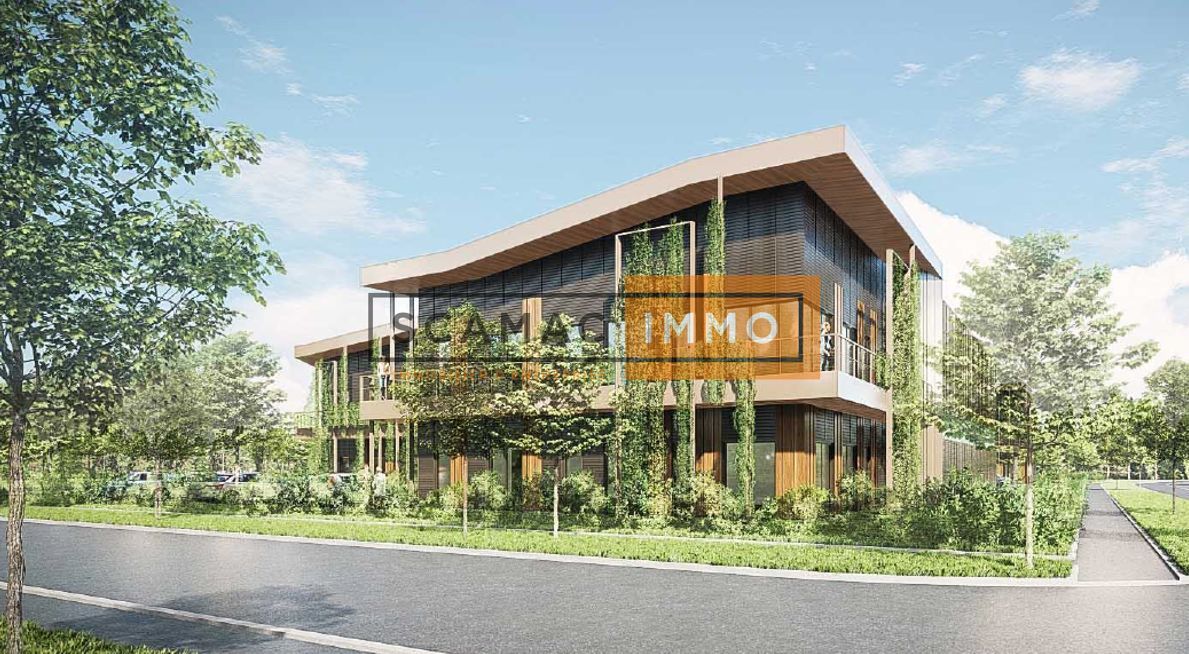 Local d'activités de 719m²