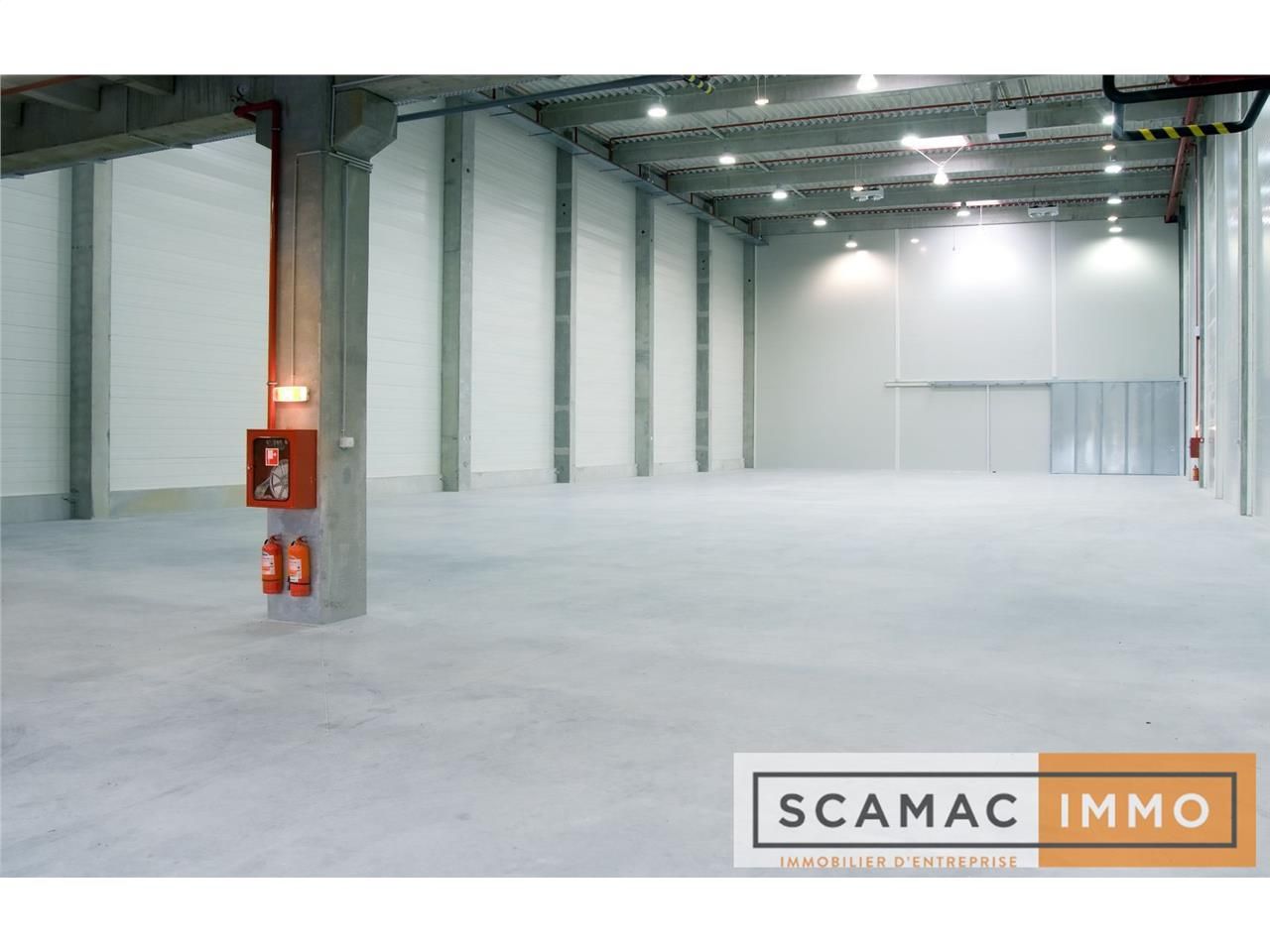 Local d'activités de 419m²