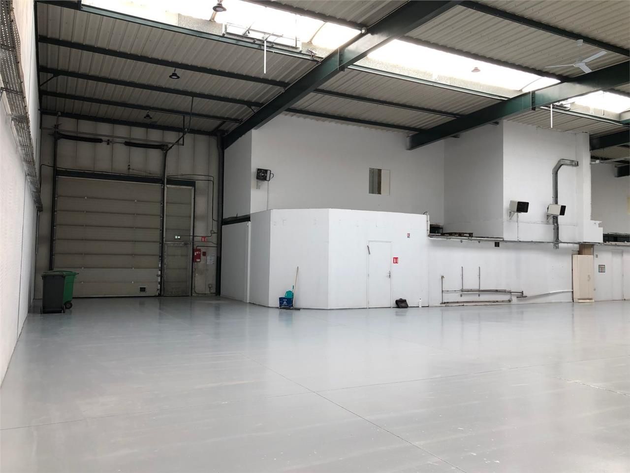 Local d'activités de 1052m²