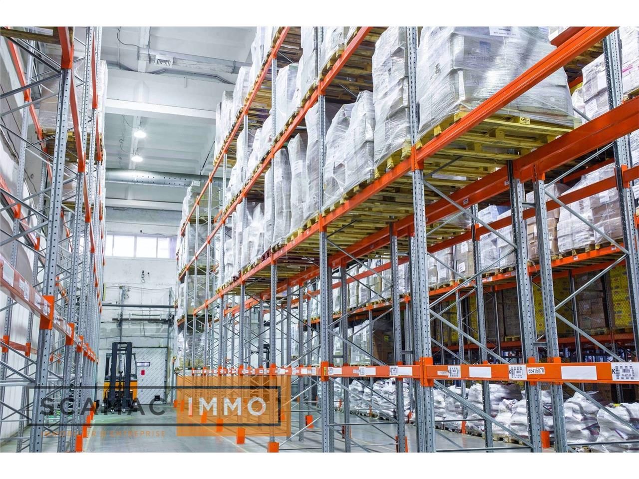 Entrepôt de 16393m²