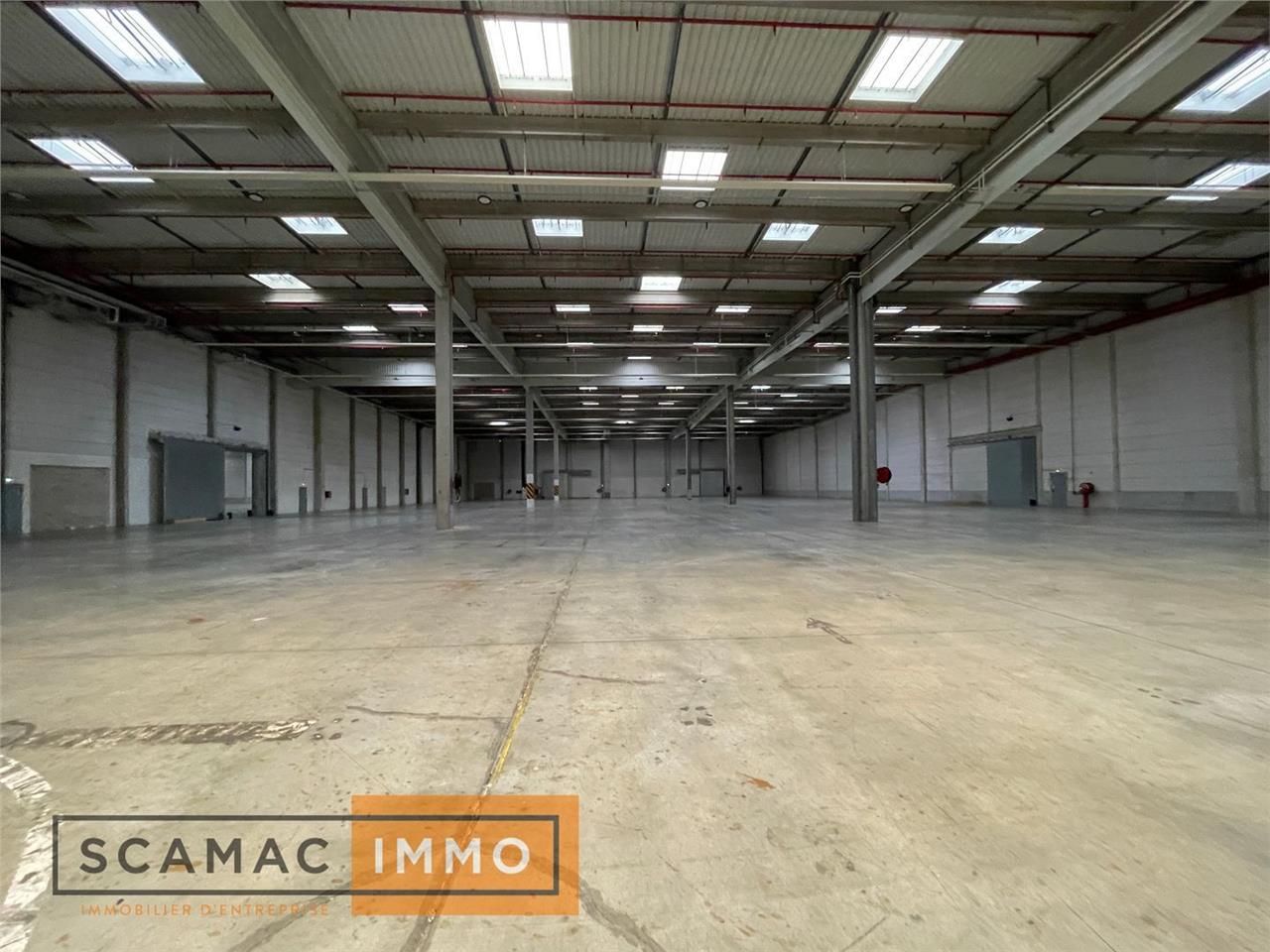 Location Entrepôt 41918 m² non divisibles