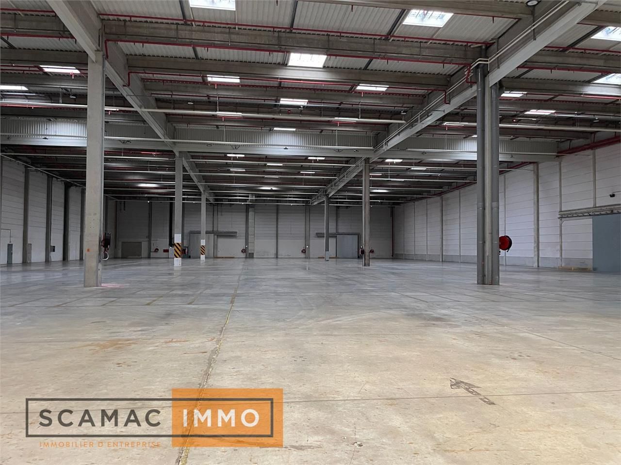 Entrepôt de 41918m²