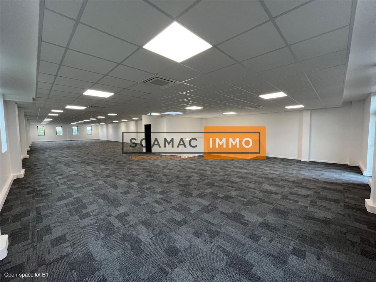 Local d'activités de 784m²