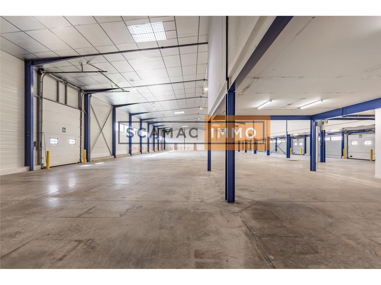 Local d'activités de 2361m²